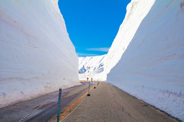 The japan alps  or the snow mountains wall  of Tateyama Kurobe alpine  in sunshine day with  blue sky background is one of the most important and popular natural place in Toyama Prefecture, Japan.