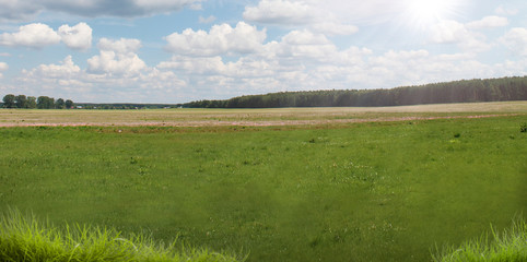 Wiese mit Gras und Sonnenstrahlen