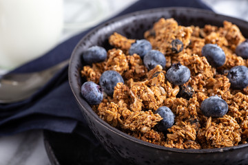 Bowl of Ganola With Fresh Blueberries