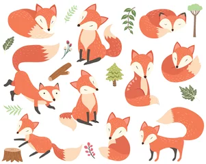 Stickers pour porte Animaux de la forêt Éléments de renard d& 39 animaux des bois