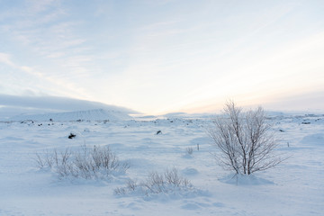 Sunrise on a cold morning in Iceland