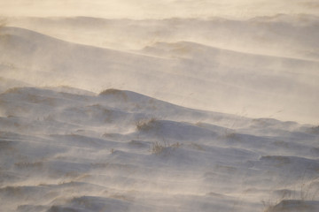 A cold and windy morning in Iceland