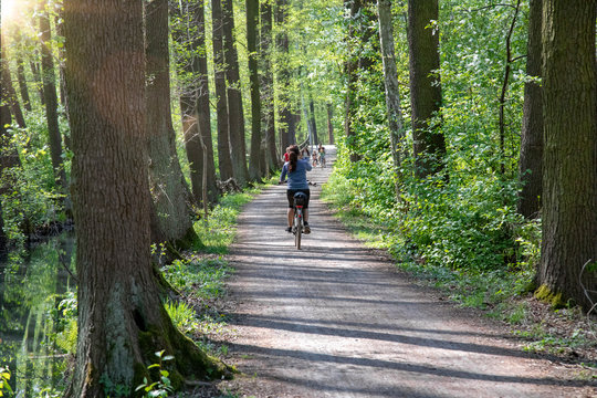 Radfahrerin auf dem Gurkenradweg im Spreewald bei Leipe