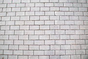 Obraz premium Background from grey artificial paving stone of rectangular shape. Backgrounds graphic design textures