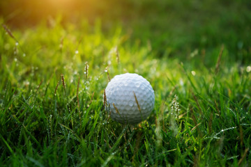 Golf ball on green grass in beautiful golf course at sunset background.
