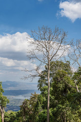 Mountain view in at Phu Kradueng.