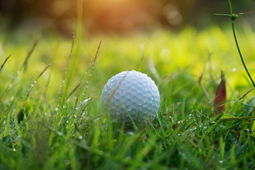 Golf ball on green grass in beautiful golf course at sunset background.