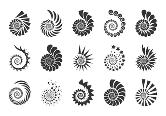 Foto auf Acrylglas Antireflex Spiral vector design elements. Abstract lines black and white. Swirl background. Set icons. © SolaruS