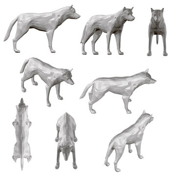 Set with coyote in different positions. Polygonal coyote in gray. 3D. Vector illustration