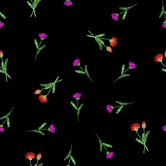 Seamless pattern of chicory wildflowers on black background. Watercolor pattern for printing on paper, textile, fabric.