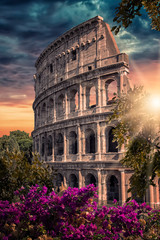 The Colosseum in Rome, Italy - obrazy, fototapety, plakaty