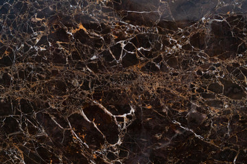 fantastic network on marble plates