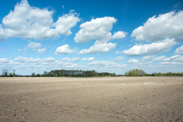 Plowed field, trees on the horizon and white clouds on blue sky