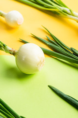 Contemporary food image, onion on pastel background