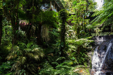 Cabin in the woods above waterfall