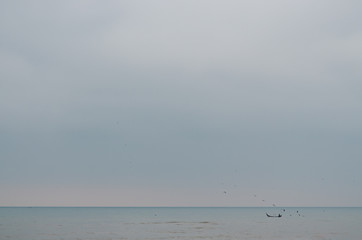 Naklejka premium View of brazilian coast 