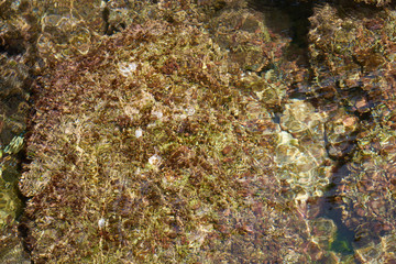 Beautiful sea and rock background