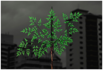 Green plant on foreground (centralized) and tall buildings on the background on a cloudy day. Dark and dramatic appearance. Nature vs urbanization background. 