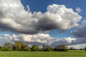 Spaziergang im Grünen