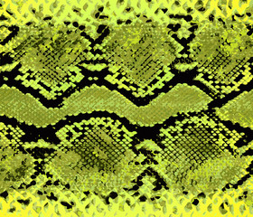 Snake skin yellow pattern. Texture snake. Fashionable print. Fashion and stylish background