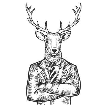 Deer head businessman sketch engraving vector illustration. Scratch board style imitation. Black and white hand drawn image.