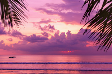 Fioletowy zachód słońca na plaży. Widok na brzeg przez liście palmowe. - 265143771