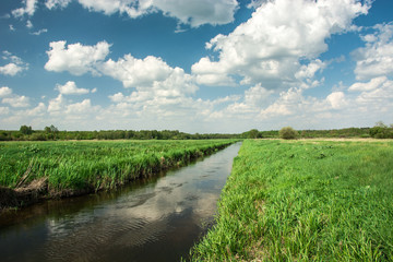 Eastern Poland and the river flowing through green meadow, forest to the horizon and white clouds on sky