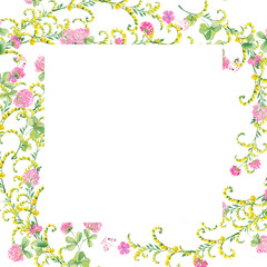 frame watercolor flowers of pink clover and yellow vetch.