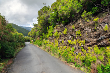 Fototapeta na wymiar Beautiful landscape view of the road in the mountains in nature on the green island Madeira, during a hike on 25 Fontes trail along a famous levada