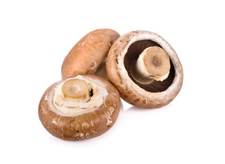 whole fresh champignon mushrooms on white background