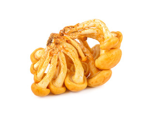 Edible mushrooms called golden needle mushroom, futu mushroom or lily mushroom on white background