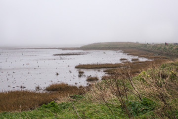 beach in a foggy morning