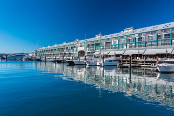 Picturesque Woolloomooloo wharf with white yachts and boats - obrazy, fototapety, plakaty