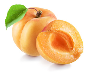 Ripe apricot fruit and apricot half. File contains clipping path.