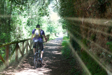 Naklejka premium cyclist near a wooden fence in the bear path in Asturias, Spain