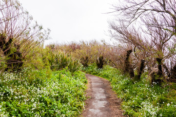 Lizard Point, Halbinsel, Küste, Steilküste, Küstenwanderweg, Cornwall, Frühling, Südengland