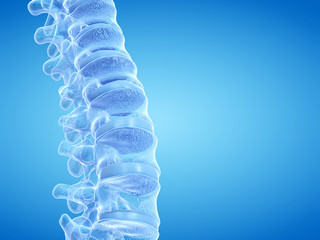 3d rendered medically accurate illustration of the human spine - obrazy, fototapety, plakaty
