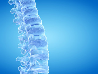 3d rendered medically accurate illustration of the human spine