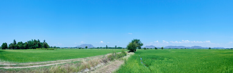 Fototapeta na wymiar Green field view with sky clouds