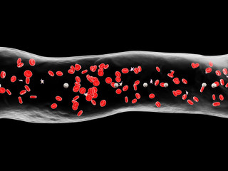 3d rendered medically accurate illustration of a human blood vessel