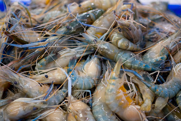 Raw prawns as a background in the market for sale at Thailand