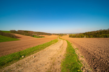 Fototapeta na wymiar Agricultural plowed field in spring