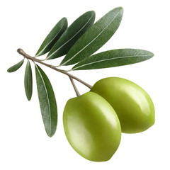 Olive branch with two green olives, isolated on white background