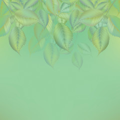Backfound of green pastel color leaves 