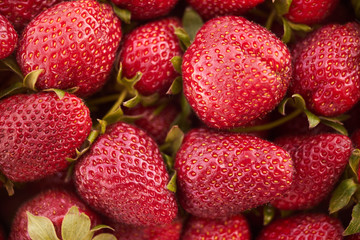 Close up of fresh natural strawberry fruit