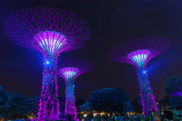 Gardens by the bay