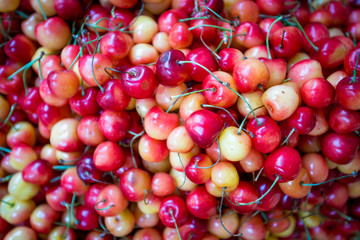 red cherry background. Red ripe delicious cherries