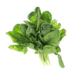 Bundle of fresh spinach isolated on white