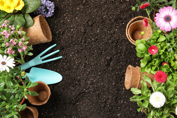 Flat lay composition with gardening equipment and flowers on soil, space for text
