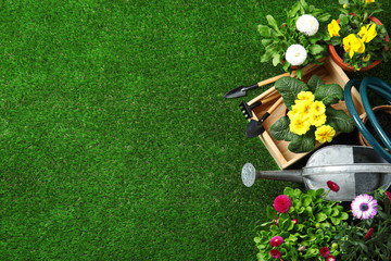Flat lay composition with gardening equipment and flowers on green grass, space for text